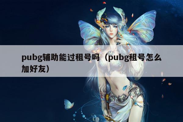 pubg辅助能过租号吗（pubg租号怎么加好友）