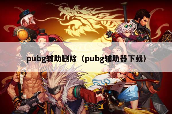 pubg辅助删除