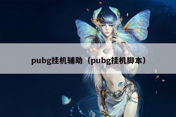 pubg挂机辅助（pubg挂机脚本）