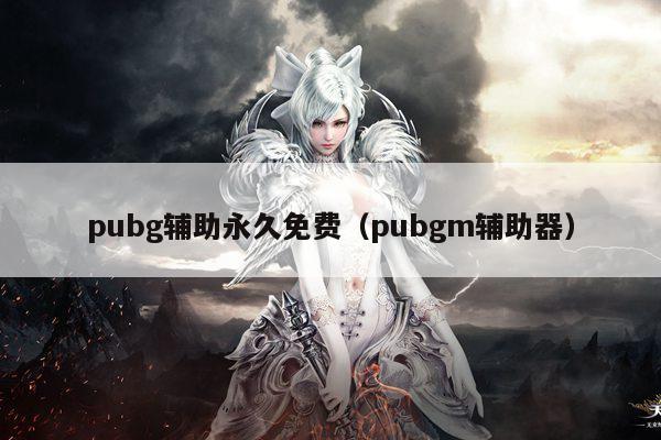 pubg辅助永久免费