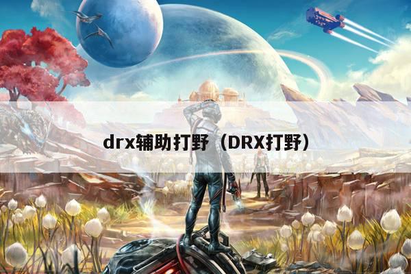 drx辅助打野