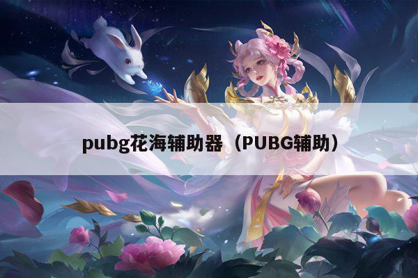 pubg花海辅助器（PUBG辅助）