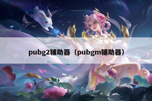 pubg2辅助器