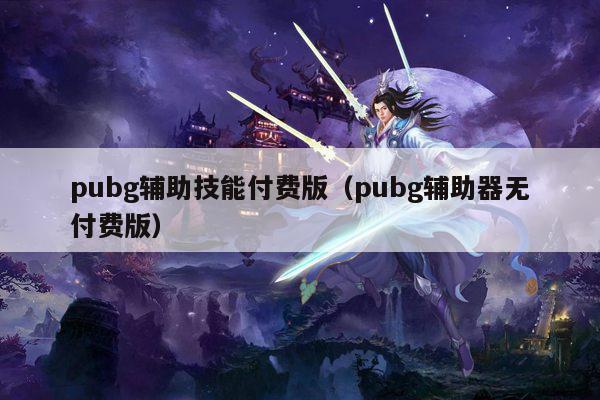 pubg辅助技能付费版（pubg辅助器无付费版）