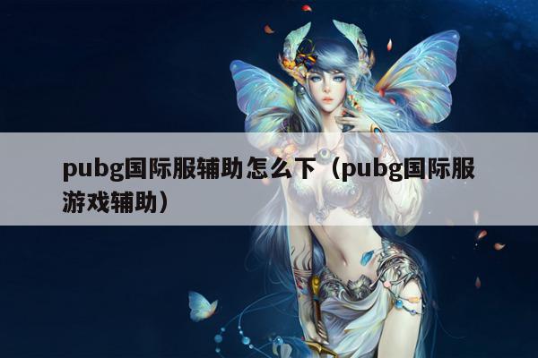 pubg国际服辅助怎么下（pubg国际服游戏辅助）