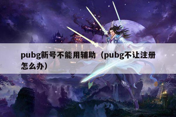 pubg新号不能用辅助（pubg不让注册怎么办）