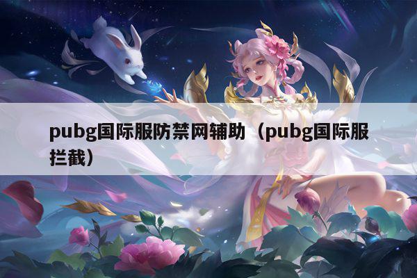 pubg国际服防禁网辅助