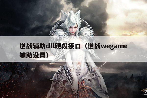 逆战辅助dll硬段接口（逆战wegame辅助设置）