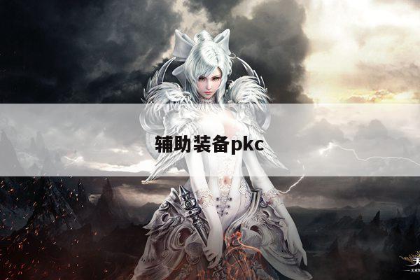 辅助装备pkc