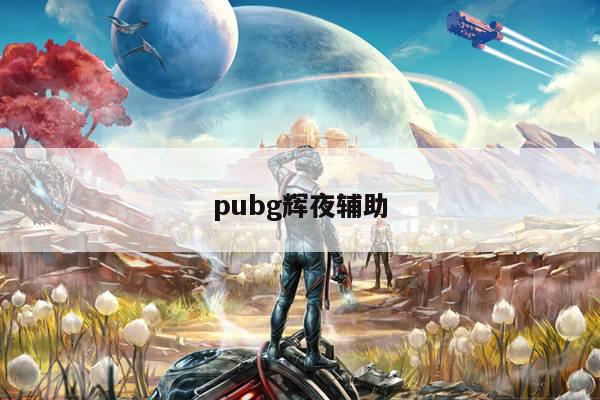 pubg辉夜辅助