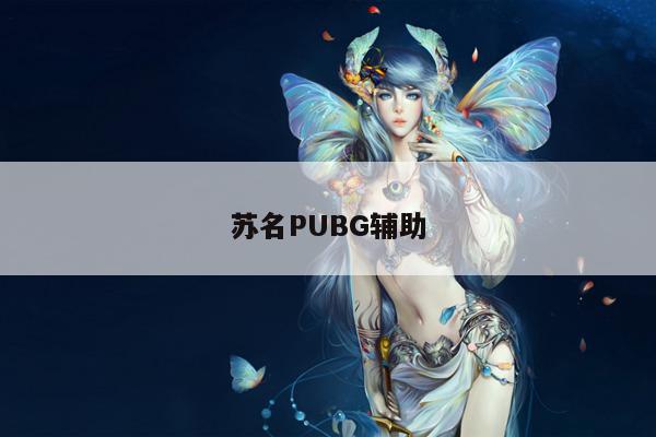 苏名PUBG辅助