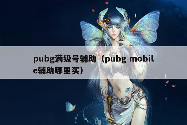 pubg满级号辅助（pubg mobile辅助哪里买）