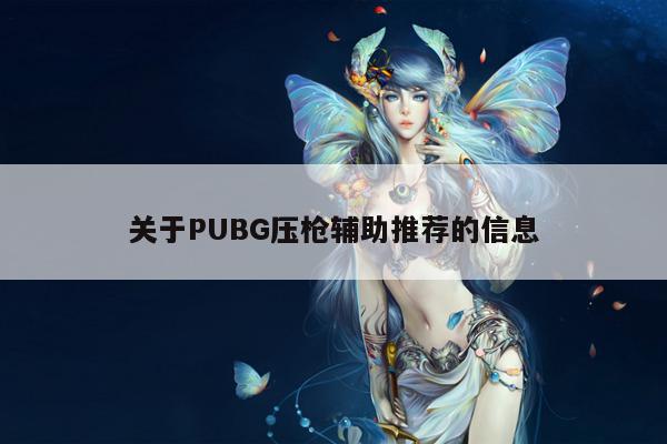 PUBG压枪辅助推荐