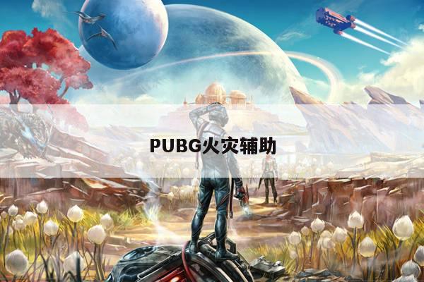 PUBG火灾辅助