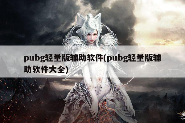 pubg轻量版辅助软件