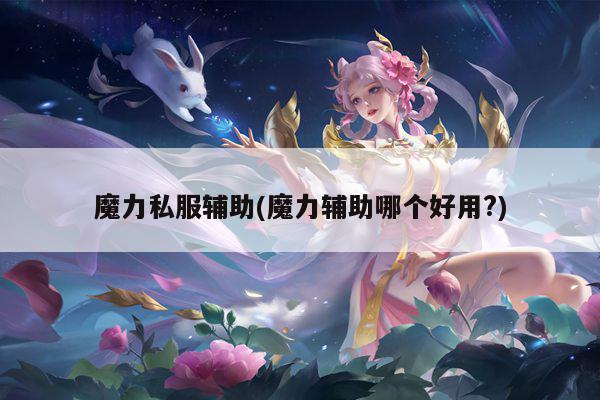 魔力私服辅助(魔力辅助哪个好用?)