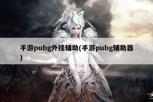 手游pubg外挂辅助