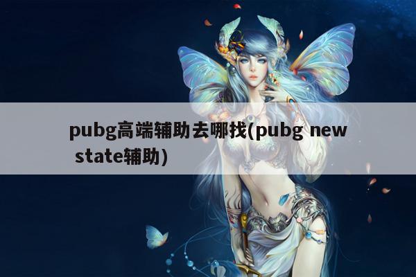 pubg高端辅助去哪找