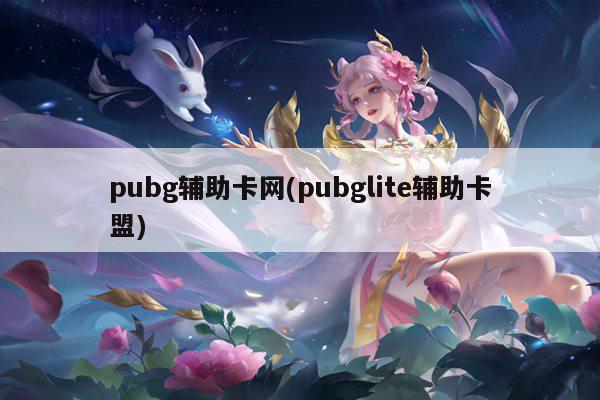 pubg辅助卡网(pubglite辅助卡盟)