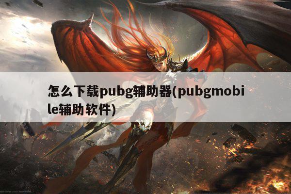 怎么下载pubg辅助器(pubgmobile辅助软件)