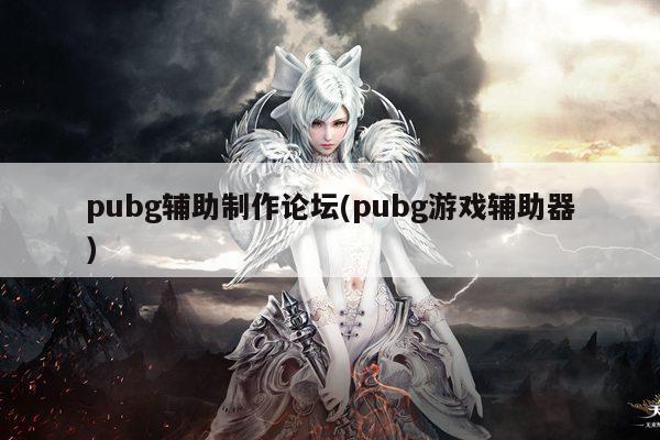 pubg辅助制作论坛(pubg游戏辅助器)