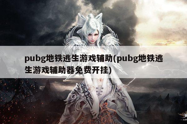 pubg地铁逃生游戏辅助