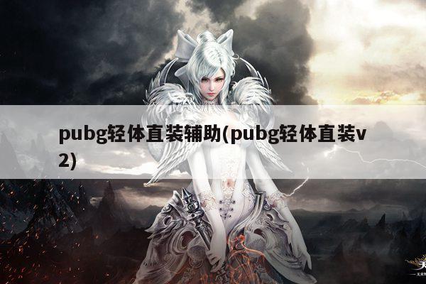 pubg轻体直装辅助