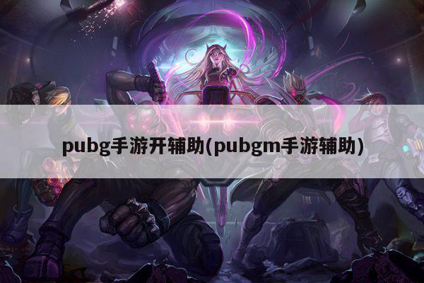 pubg手游开辅助