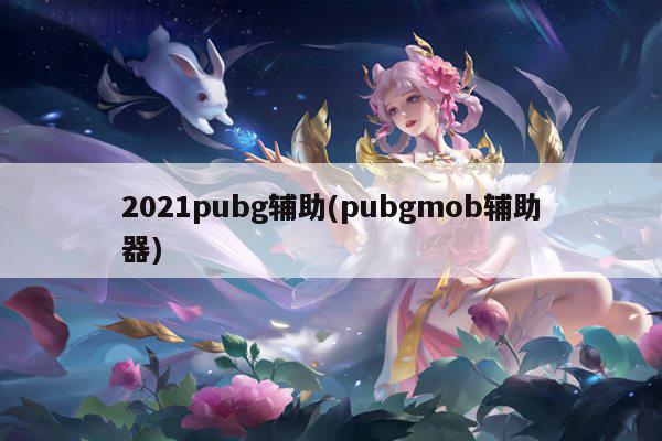 2021pubg辅助(pubgmob辅助器)