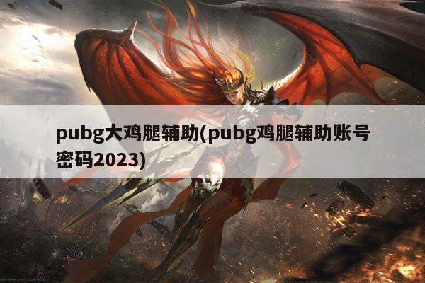 pubg大鸡腿辅助(pubg鸡腿辅助账号密码2023)