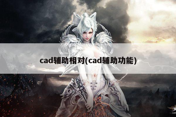 cad辅助相对(cad辅助功能)