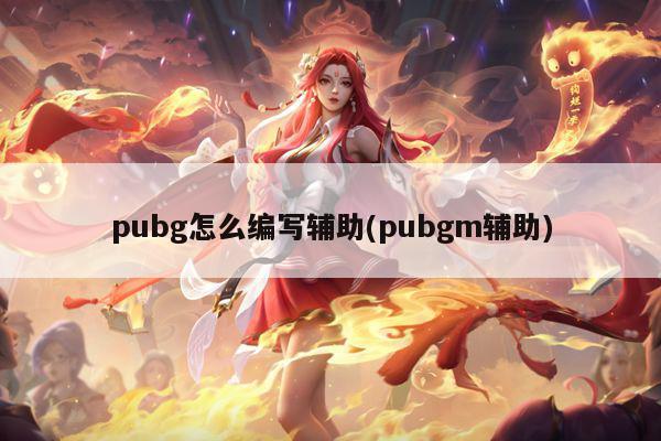 pubg怎么编写辅助