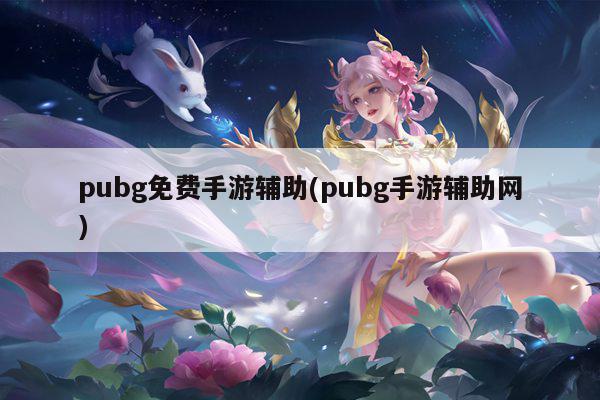 pubg免费手游辅助(pubg手游辅助网)