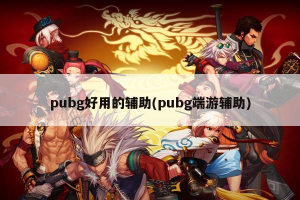 pubg好用的辅助(pubg端游辅助)