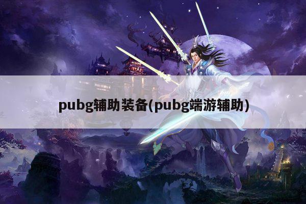 pubg辅助装备(pubg端游辅助)