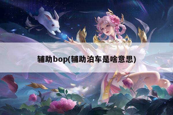 辅助bop