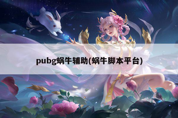 pubg蜗牛辅助(蜗牛脚本平台)