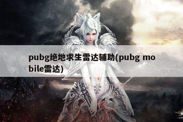 pubg绝地求生雷达辅助