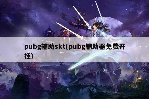 pubg辅助skt(pubg辅助器免费开挂)