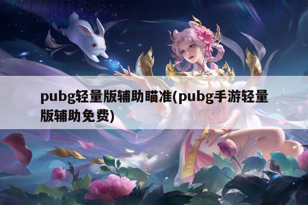 pubg轻量版辅助瞄准