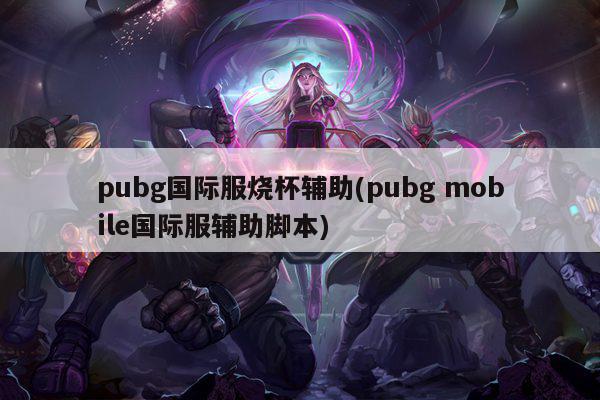 pubg国际服烧杯辅助(pubg mobile国际服辅助脚本)