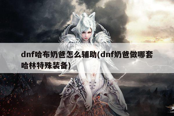 dnf哈布奶爸怎么辅助(dnf奶爸做哪套哈林特殊装备)