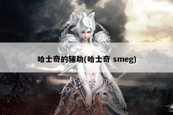 哈士奇的辅助(哈士奇 smeg)