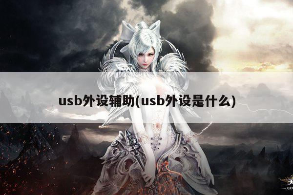 usb外设辅助