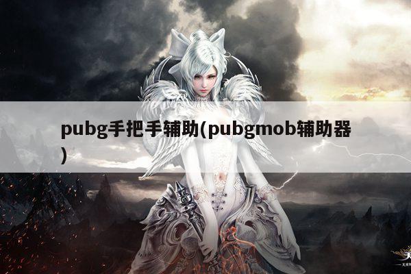 pubg手把手辅助(pubgmob辅助器)