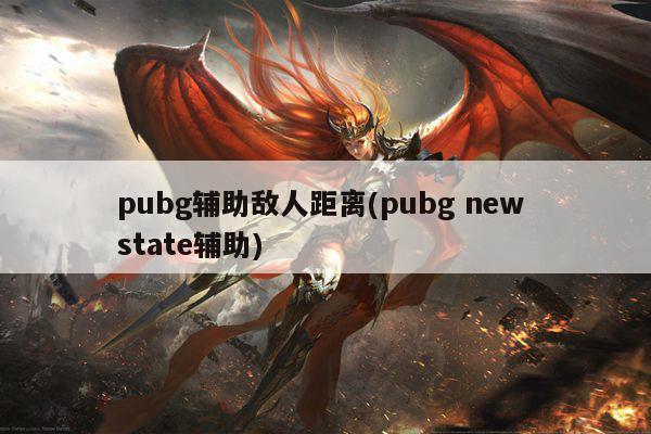 pubg辅助敌人距离(pubg new state辅助)