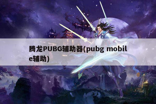 腾龙PUBG辅助器(pubg mobile辅助)