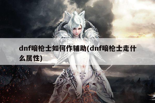 dnf暗枪士如何作辅助(dnf暗枪士走什么属性)