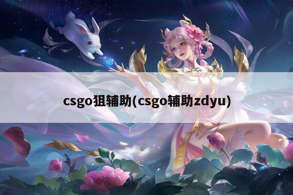 csgo狙辅助(csgo辅助zdyu)