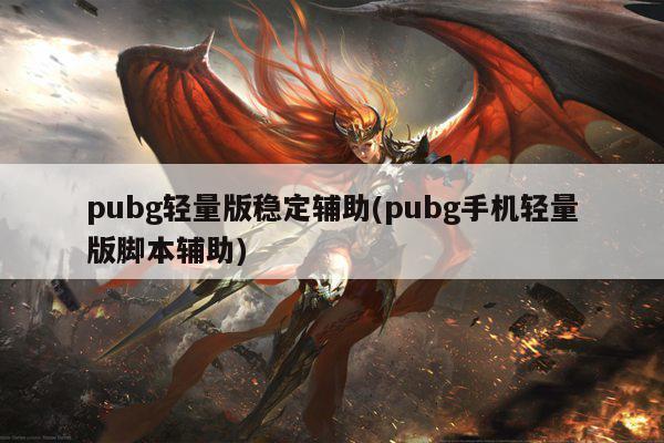 pubg轻量版稳定辅助(pubg手机轻量版脚本辅助)